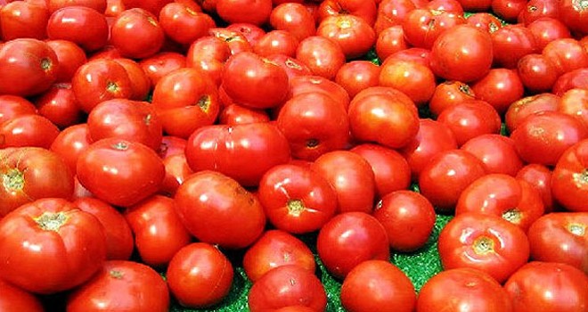 Güney Kıbrıs KKTC domatesi “doldu”