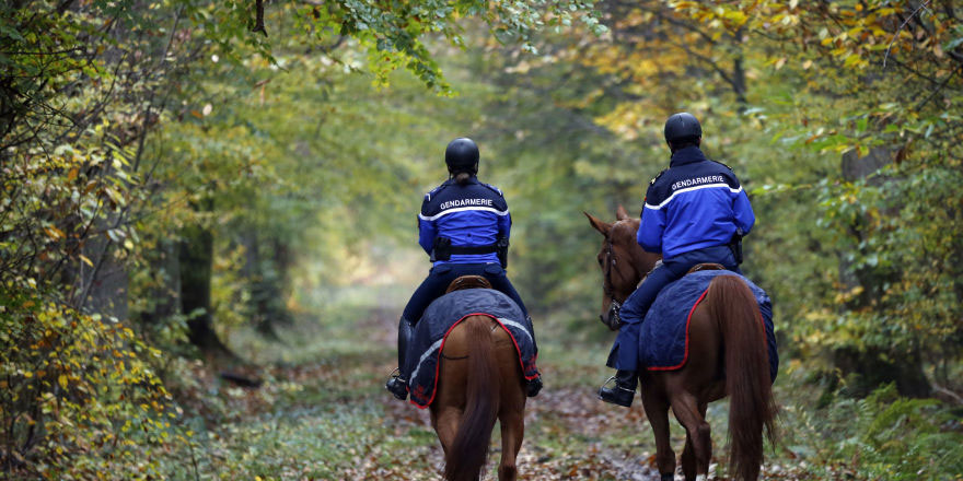 Fransa'da av köpeklerinin saldırısına uğrayan hamile kadın yaşamını yitirdi