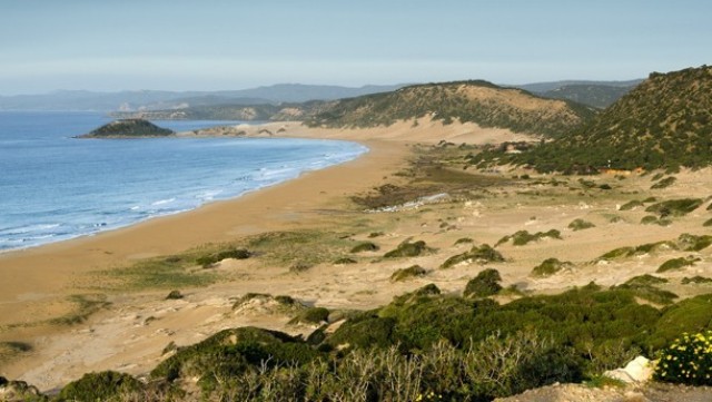 Maronitlerin temsilcisinden Rum hükümetine çağrı