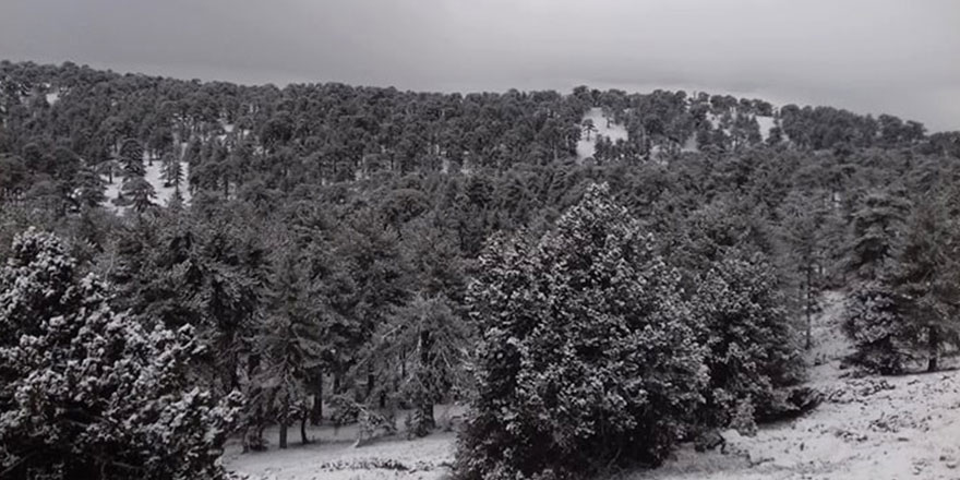 Trodos beyaza büründü