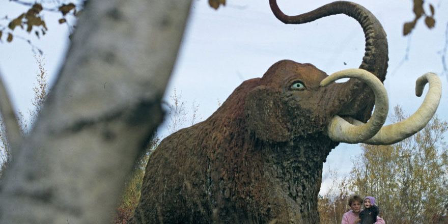Araştırmacılar, türlerin ömrünü belirleyen 'yaşam saatini' geliştirdi