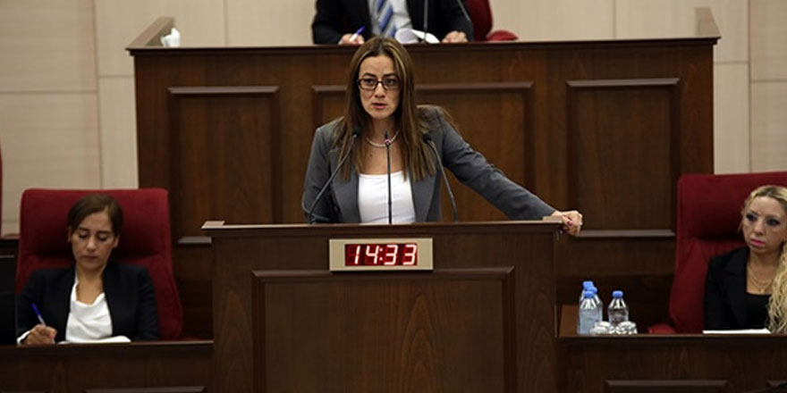 “Şiddeti önlemek istiyorsak ev içindeki eşitsizliği ve adaletsizliği kaldırmalıyız"