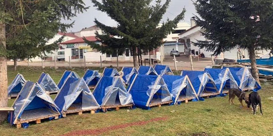 Yaylalar boşaldı köpekler ortada kaldı