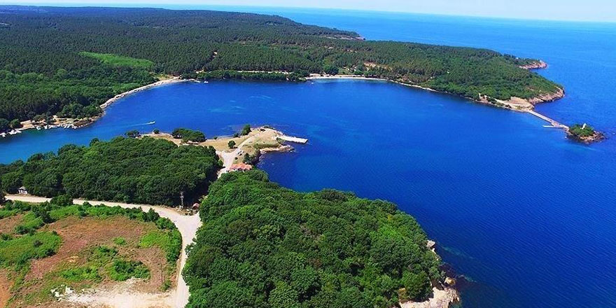 Doğa harikası Hamsilos kurtuldu