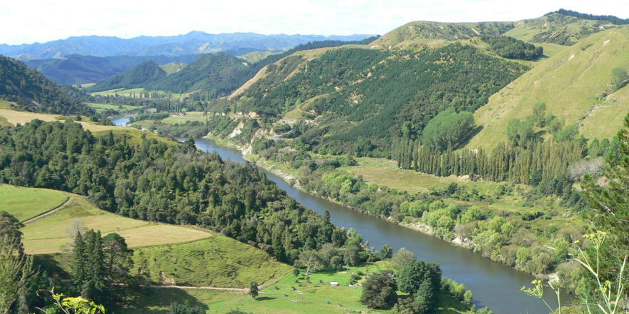 Yeni Zelanda: Zengin işadamı, çiftliğinde komünal hayat yaşayacak 10 kişiyi ilanla arıyor
