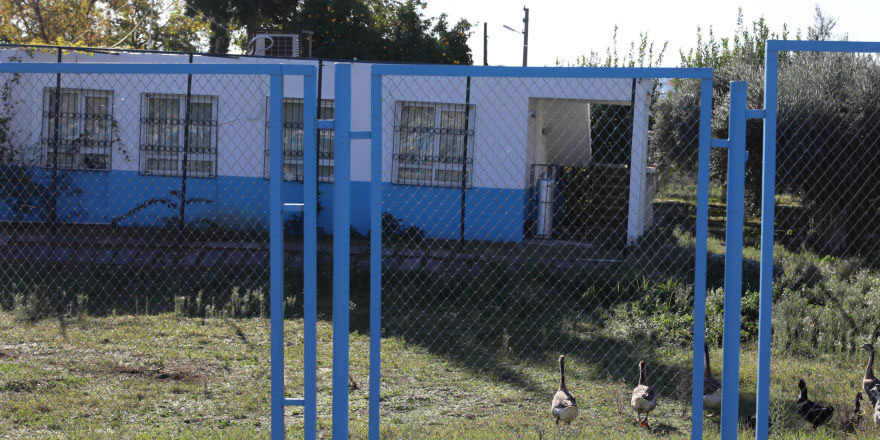 Çocuğu ısıran kazlar antik kente sürgün edildi