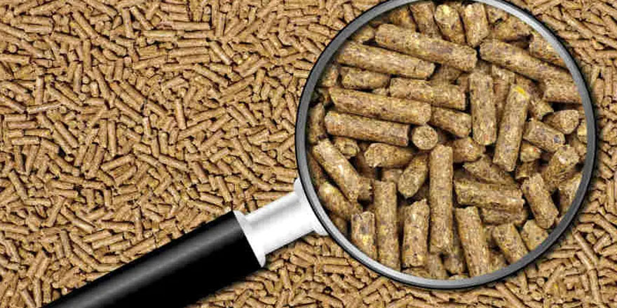 Tarım ve Doğal Kaynaklar Bakanlığı Kasım ayı yem analiz sonuçlarını açıkladı