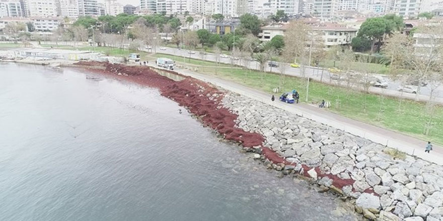 Caddebostan Sahili kızıla büründü