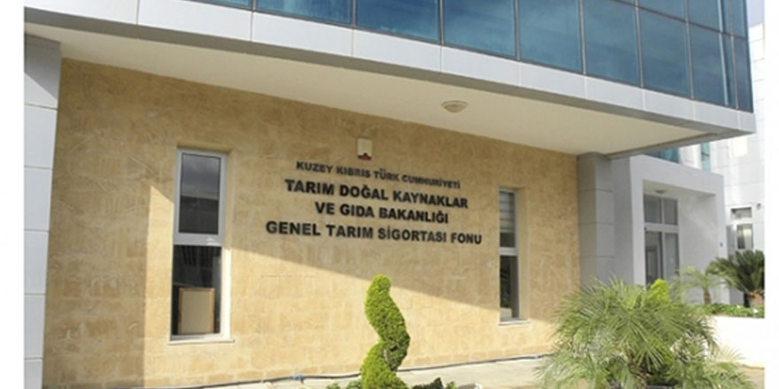 Hayvan varlıkları beyan tarihi uzatıldı