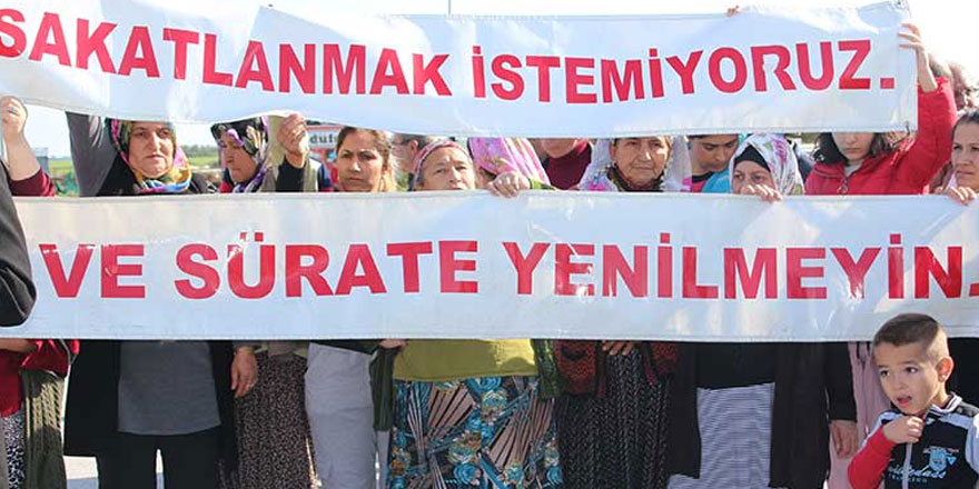 Ya sorumluluk üstlenin ya da istifa edin