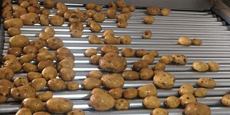 Patates ve soğan satışına kısıtlama getirildi