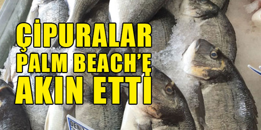 Güney’de Balık Çiftliği zarar gördü