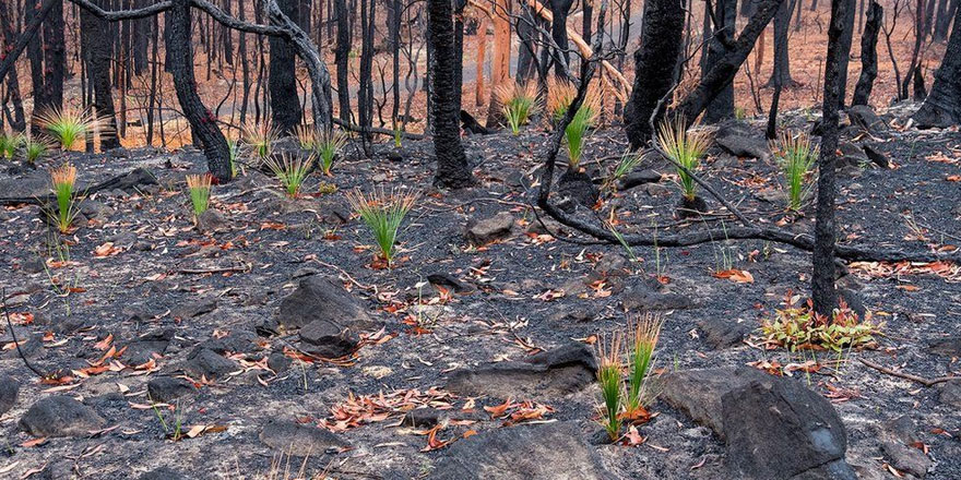Yangın sonrasında dikkat çeken görüntü