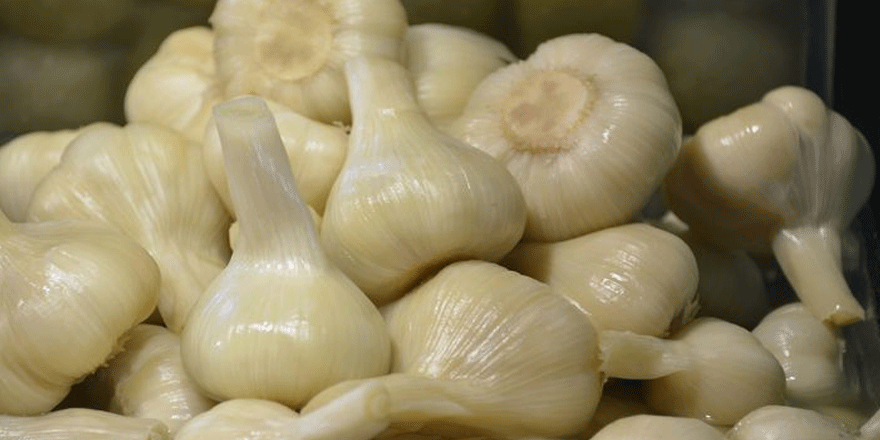 Sarımsak için kritik uyarı