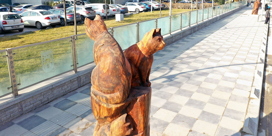 Ankara'da kuruyan ağaçlara sanatçı dokunuşu