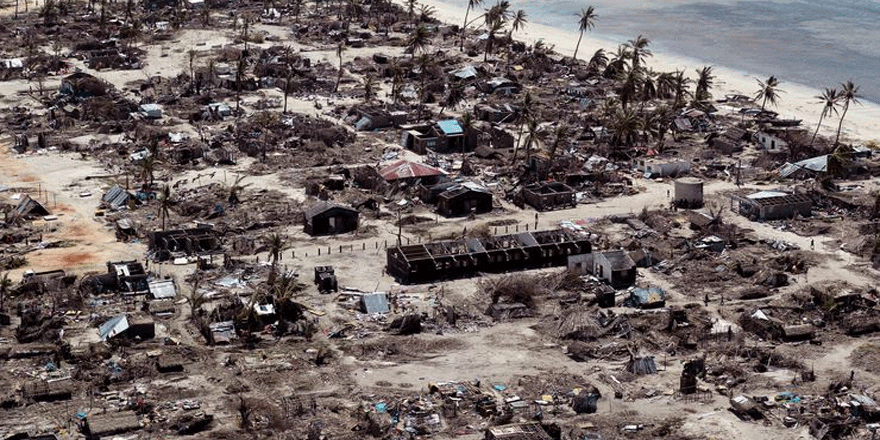 Dünyadaki biyoçeşitliliği koruyabilmemiz için sadece 10 yılımız kaldı