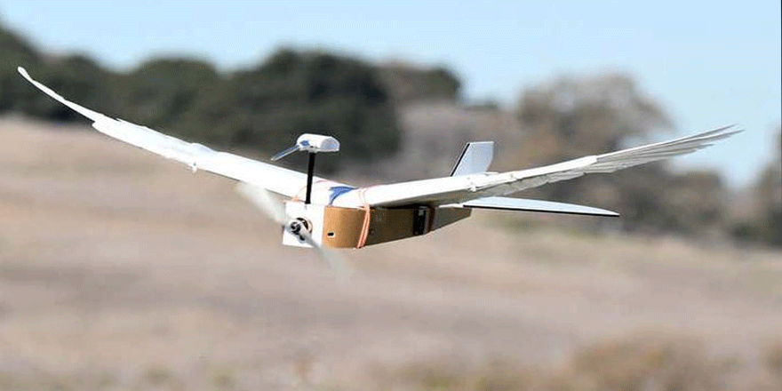 Gerçek güvercin tüyleriyle donatılmış robot bir kuş gibi uçabiliyor