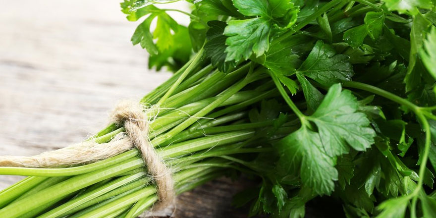 Maydanozun bilinmeyen yararları