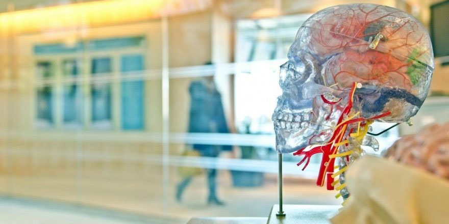 Prof. Dr. Uğur Batı: Düzensiz gelir beyin sağlığını olumsuz etkiliyor