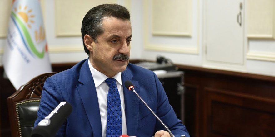 Çelik neden görevden alındı