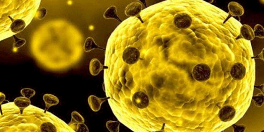 Almanya'da korkulan olmadı