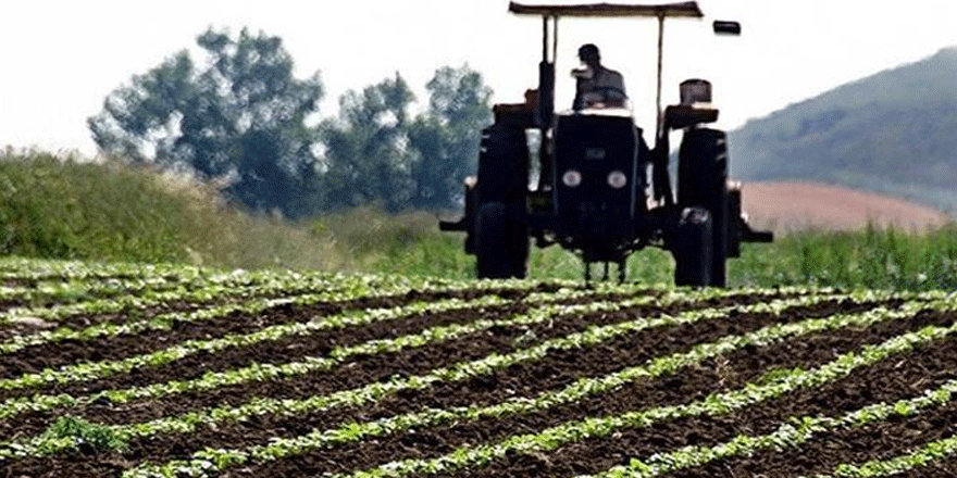Güney'de tarıma 50 milyon Euro destek