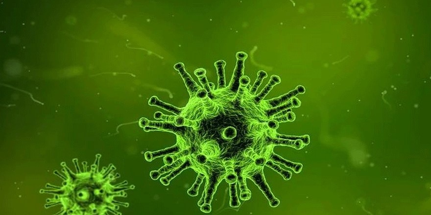 Salgınla mücadelede D vitamininin tahtı sallandı