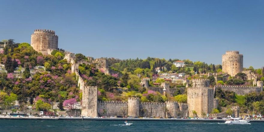 İstanbullular şimdi de ağacını seçecek