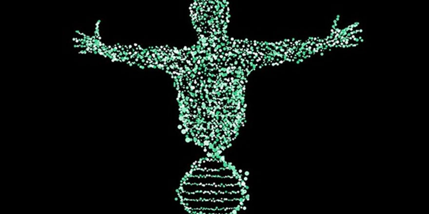 Kansere yol açan bazı gen mutasyonları onlarca yıl önce başlıyor