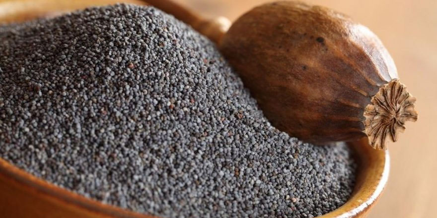 Haşhaş neye iyi geliyor?