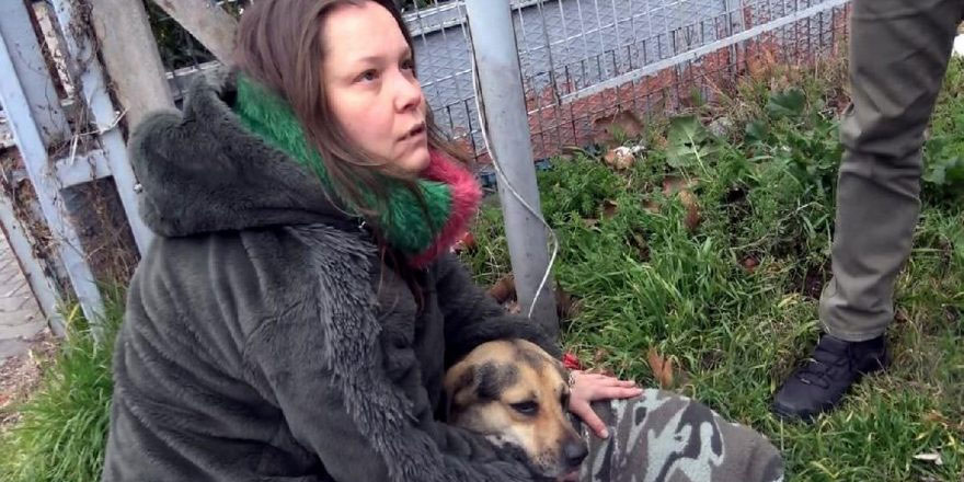 Yaralı köpeğin acısını dindirmek için çırpındı