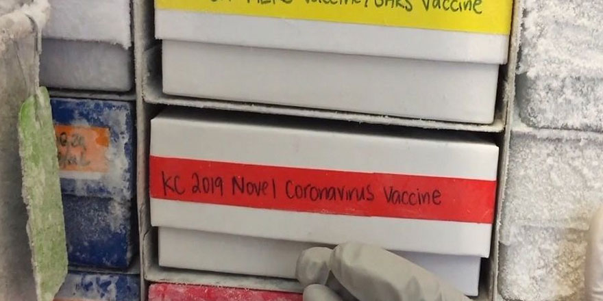 Dünya Sağlık Örgütü, koronavirüs aşısı geliştirilmesi için forum düzenliyor