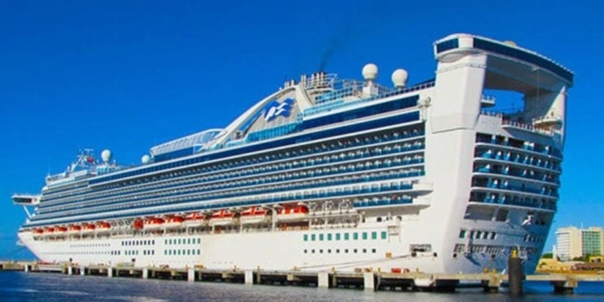 ABD'den kalkan yolcu gemisi salgın nedeniyle limana geri döndü