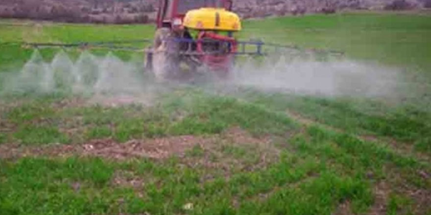 Tarım dairesi yenilebilir otlar toplanırken dikkatli olunması uyarısında bulundu