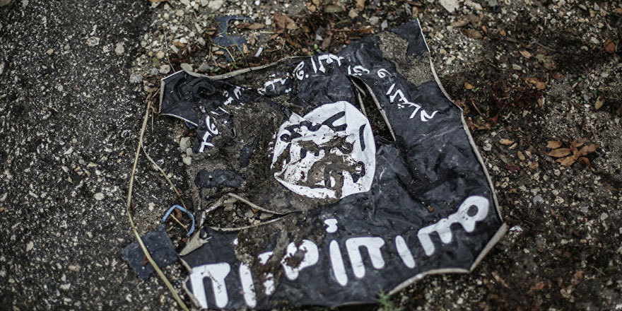 IŞİD’liler için 'kartal' ve 'kelebek' emojili şifre kullanmış