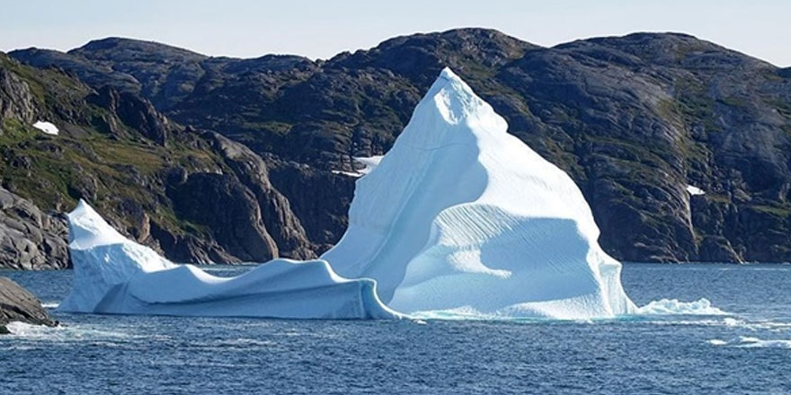 İklim değişikliği, 50 yıl içinde canlı türlerinin üçte birini yok edebilir
