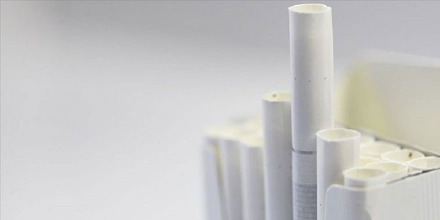 Türkiye Sigarayla Savaş Derneği Başkanı Aydın: Sigara içenlerin sayısı 30 milyondan 20 milyona indi