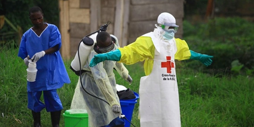 Dört Afrika ülkesi, ebola aşısının kullanımını onayladı