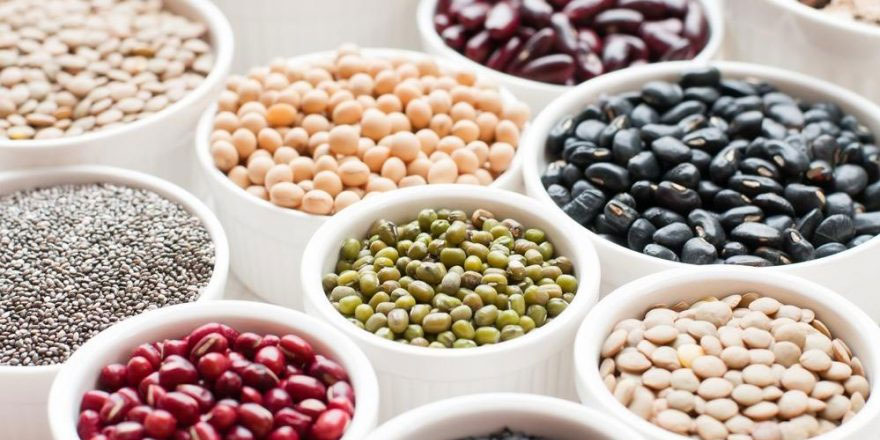 Bakliyat böceklerinden kurtulmak için ne yapmalıyız?