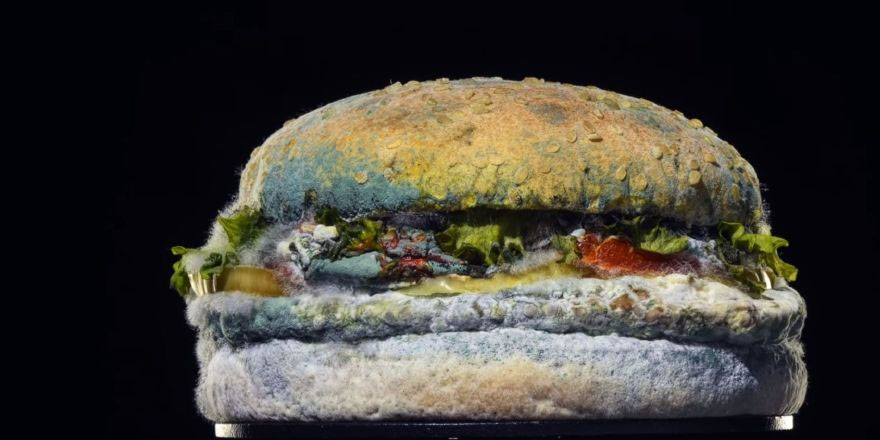 Burger King'den 'Küflü Whopper' reklamı
