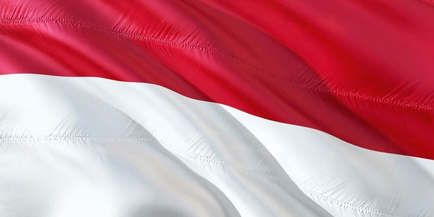 Endonezya, Endonezce'nin Güneydoğu Asya'nın ortak dili olmasını istiyor