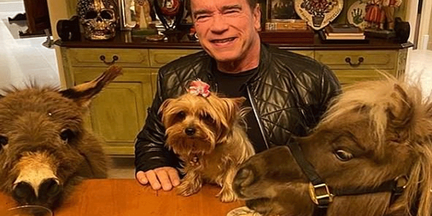 Arnold Schwarzenegger evcil eşeğini işe getirdi