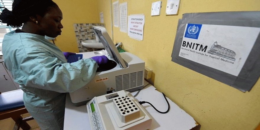 Nijerya'da Lassa ölümleri artıyor