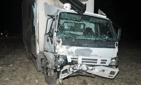 Mucize eseri sağ kurtuldular!