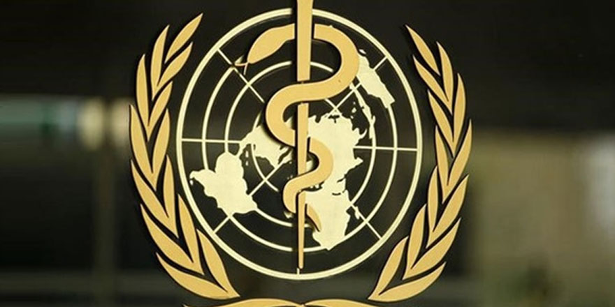 Dünya Sağlık Örgütü: Koronavirüs kalıcı olabilir