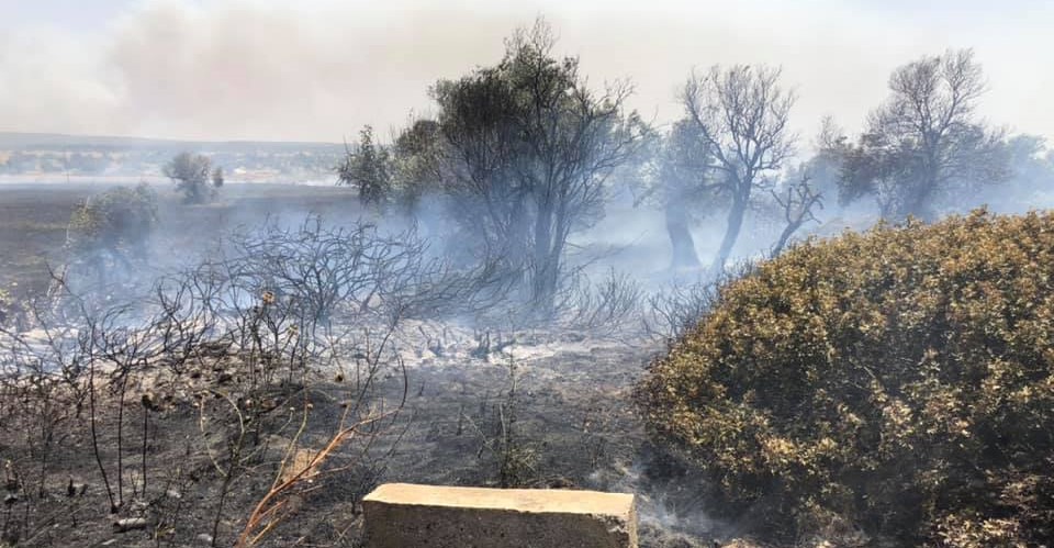 Gönendere'de yangın!