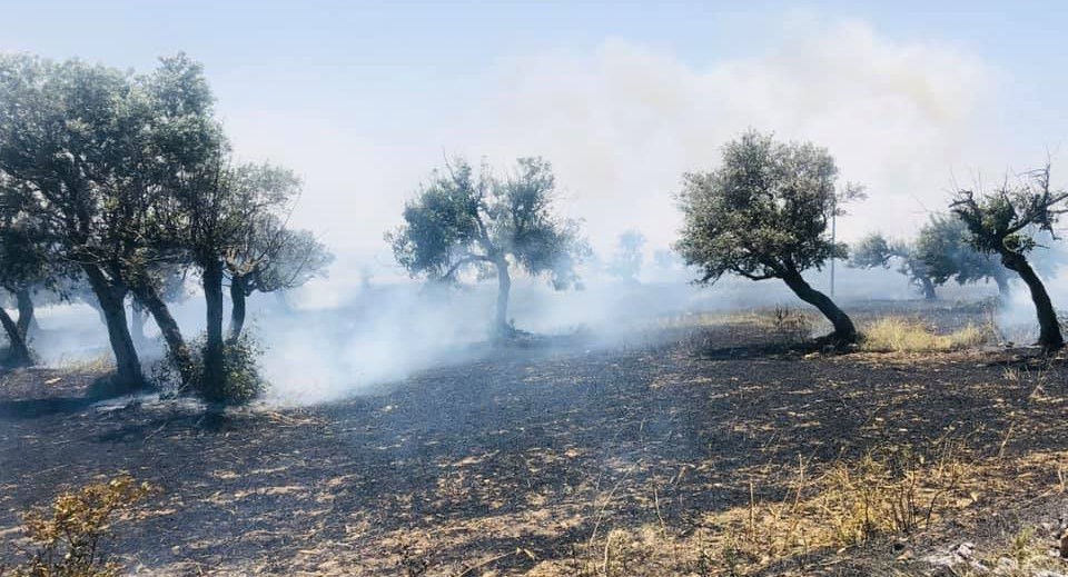 Birçok bölgede yangın meydana geldi!