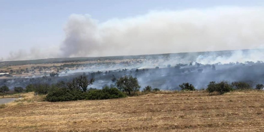 Bir yangın haberi de Sadrazamköy’den