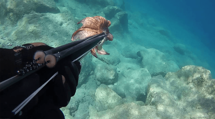 Kanunsuz balık avlayan 5 kişi tutuklandı!