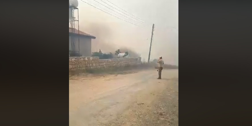 Yangın evlere kadar ulaştı ( Video haber)